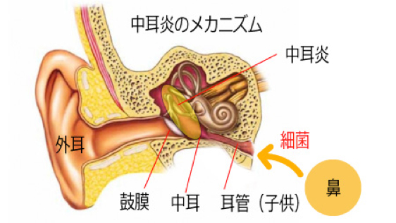 竹村耳鼻咽喉科クリニック 大阪府茨木市 耳の病気